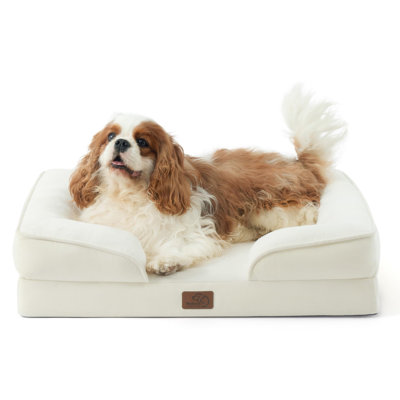 Bedsure Cozy XL Orthopedic Dog Bed, Waterproof Washable Sofa Bed with Removable Cover, Non-Slip Base for Large Dogs
