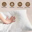 Oreiller de soutien moelleux en duvet et plumes d'oie Freman (lot de 2)-300909357-296898502