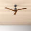 Gerda 52'' 3 Blade Ceiling Fan-88061654-88061653