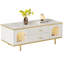 Adanely Coffee Table with Storage