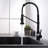 Fapully Pull Out Kitchen Faucet-61706871