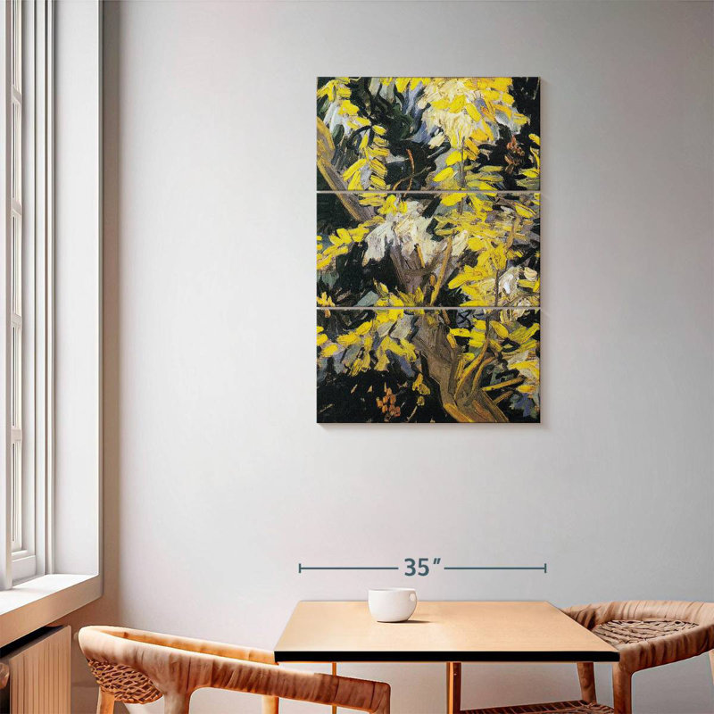 Blossoming Acacia Branches