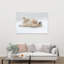 Playful Polar Bear Peaceful Playful Serene Bear Nature Wildlife Wall Art Print by Marco Pozzi - Wrapped Canvas Print-377544669