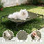 Elevated Dog Bed with Removable Cooling Cushion-801308715-801308708