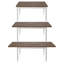 Benbow Coffee Table with Storage-1962875645