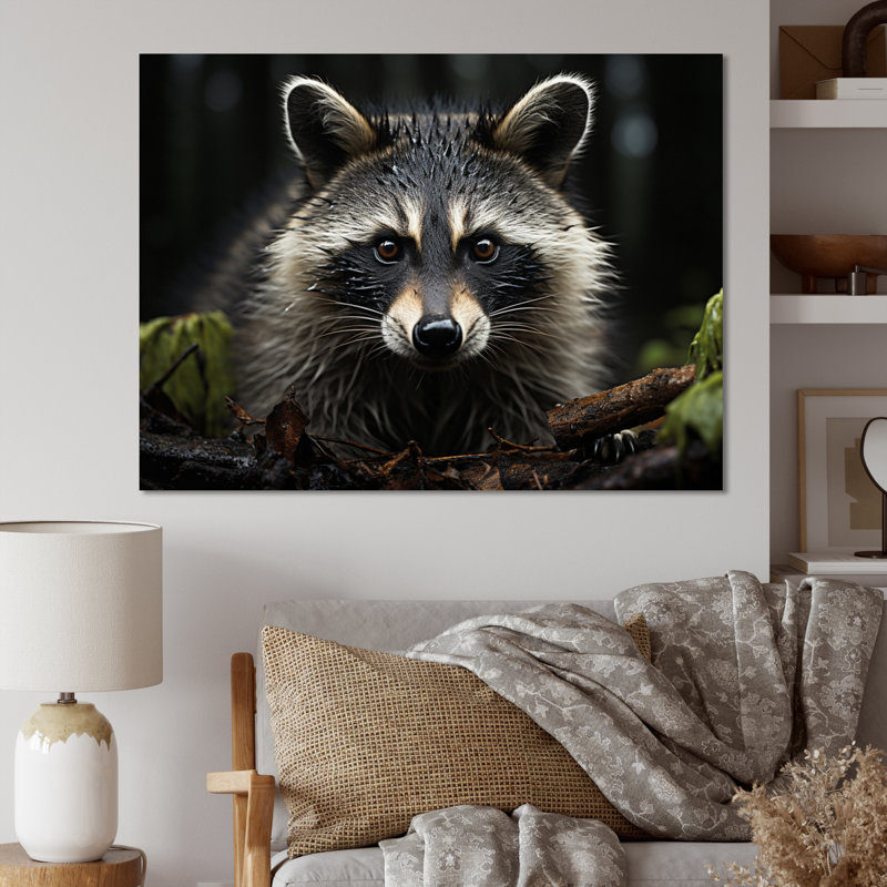 Curious Raccoon II sur impression sur toile, H 30 po x l 40 po x P 1,5 po, Toile tendue