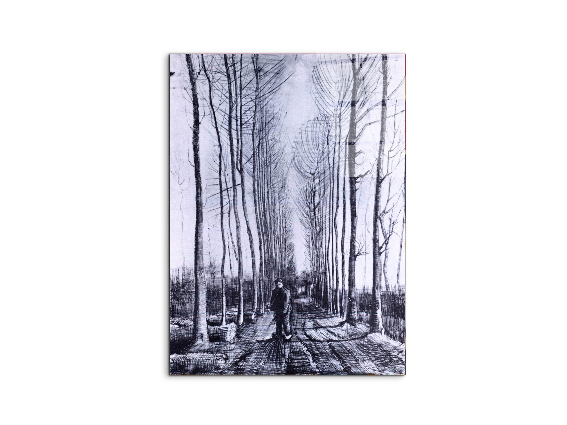 Lark Manor Poplar avenue By Van Gogh Vincent 80cm H X 60cm W CrystalArt ...