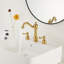 2-handle Bathroom Faucet with Drain Assembly-98084937