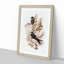 Australian Swift by Elizabeth Gould - Framed Print-55456906-55456907