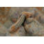 Tapis turc Oushak 2 x 3