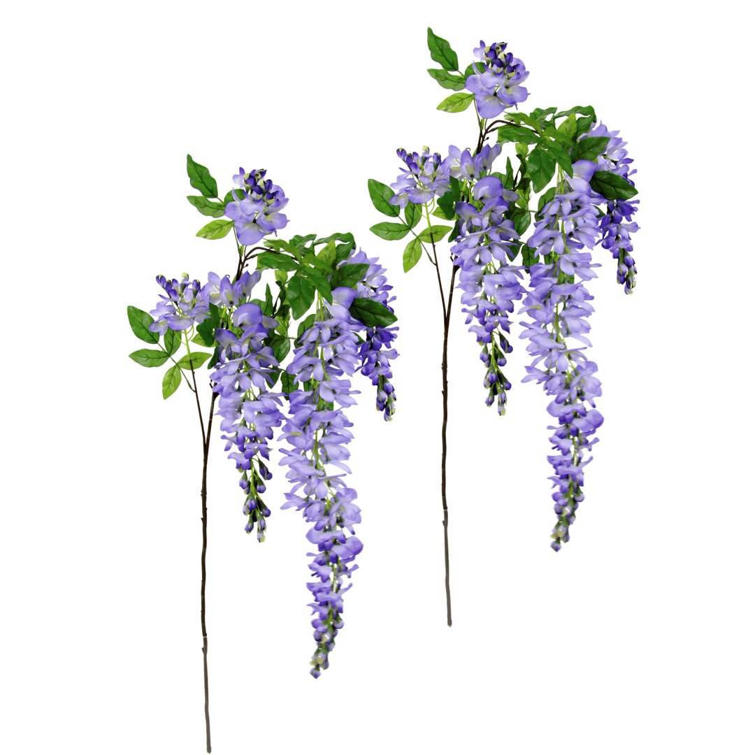 Regenwisteria-Spray (2er-Set)