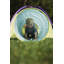 Super chaise Pacific Play Tents-431090497