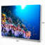 « tropical corail de corail », reproduction de photo sur toile tendue-29504892