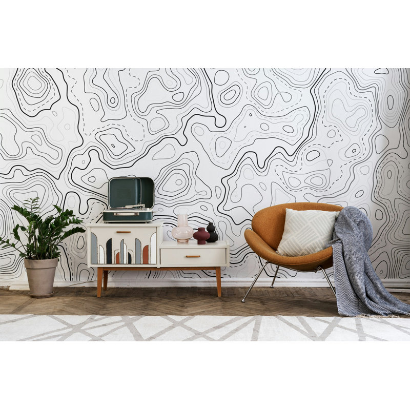 Papier peint noir à motif de lignes topographiques, L 115 po x l 225 po