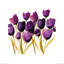 Nicola Evans - Print-23736456