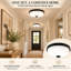 Glass Flush Mount