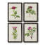 «Pretty Pink Botanicals II», toile encadrée de qualité supérieure - prête à être accrochée-1603343129-1603343122