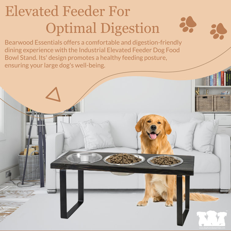 Elevate your dogs dining experience with our Yeti dog bowl stands