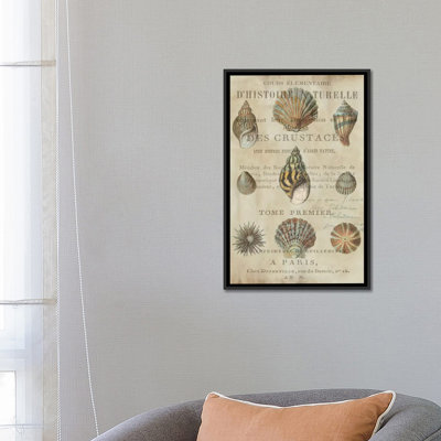 «Shell Collection I» par Deborah Devellier, reproduction sur toile tendue sur châssis