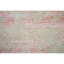 Brookhaven Oriental Area Rug in Coral/Ivory-72367323