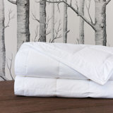 Antioch Microfiber All Season Down Alternative Comforter