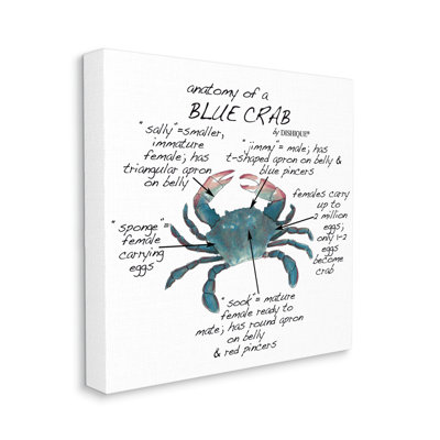" Crab Anatomy " by Dishique