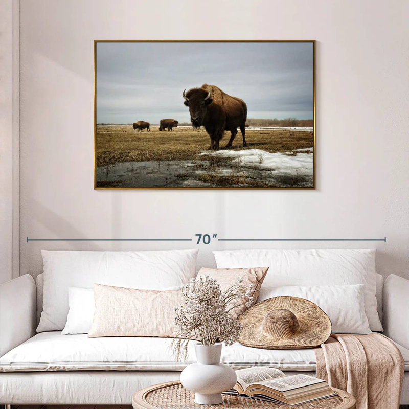 Bison Cloud Day, Cadre flottant doré, 43 po x 29 po