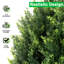 Ensemble de 4 arbres en forme de boule de cèdre artificiel 19 po - 4 plantes et arbustes résistants aux rayons UV pour jardin intérieur