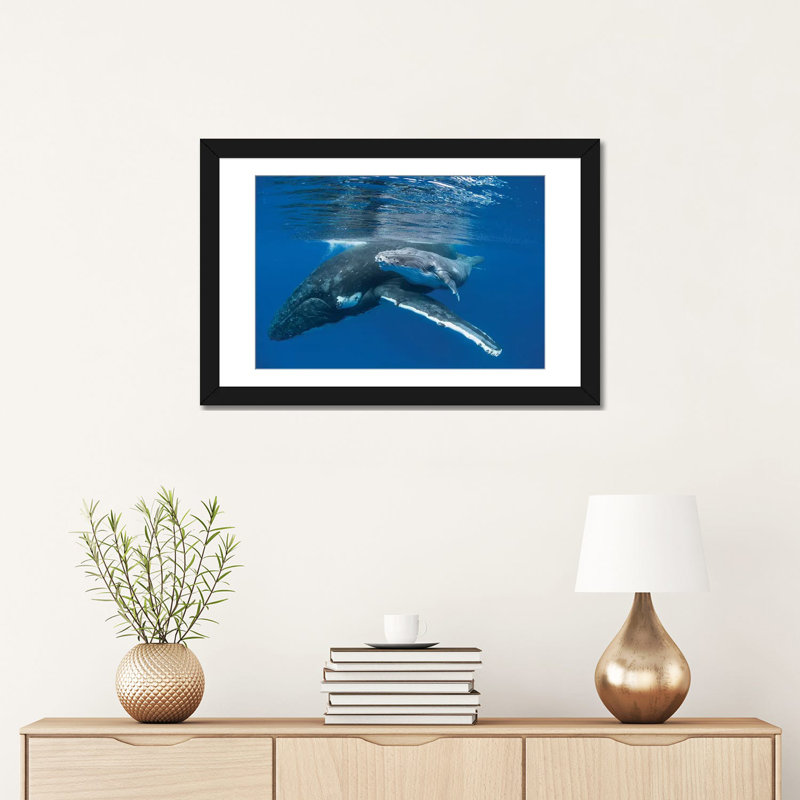 Impression d'une baleine à bosse avec un vieux veau de quatre jours, impression sur toile tendue, H 16 po x l 24 po x P 1 po