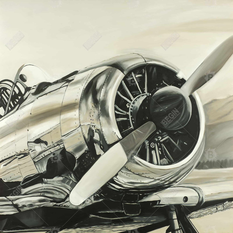 Vintage aircraft - 18"x18" Throw pillow cover - Poly twill - Print on demand