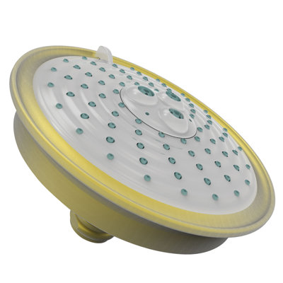 Multi Function Fixed Shower Head