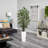 Bamboo Tree in White Tower Planter