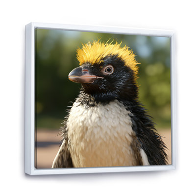 Penguin Photo Portrait - Penguin Wall Art