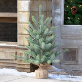 Lighted Artificial Spruce Christmas Tree