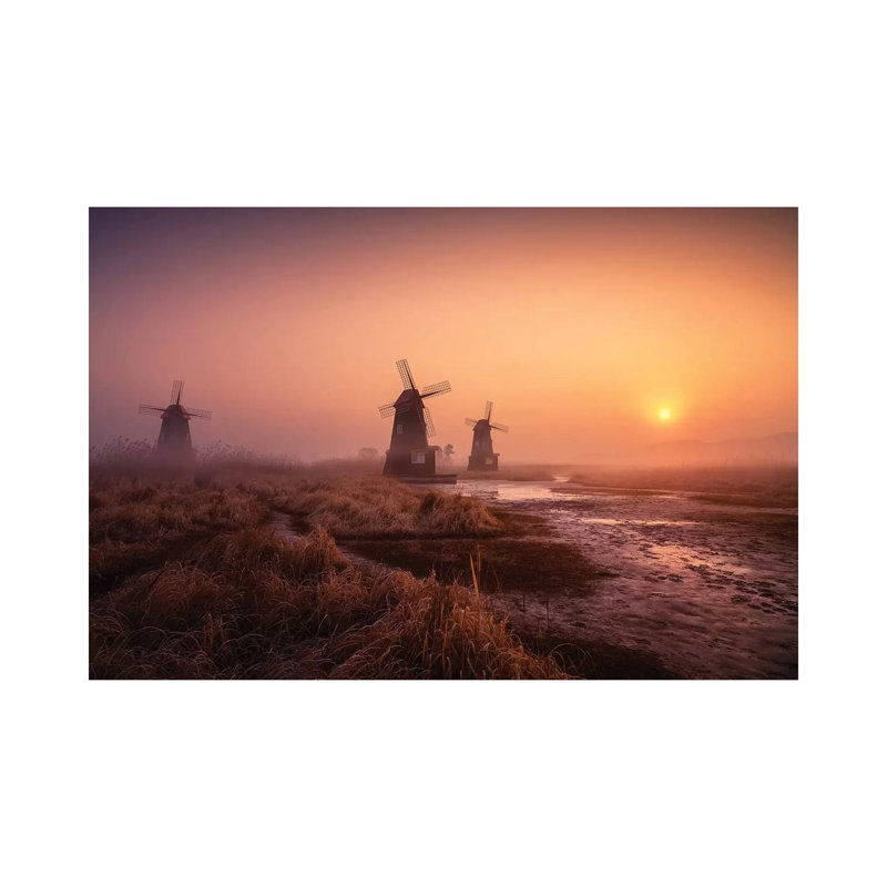 Foggy Morning by Tiger Seo - Wrapped Canvas Gallery-Wrapped Canvas Giclée, 20.32 cm H x 30.48 cm W
