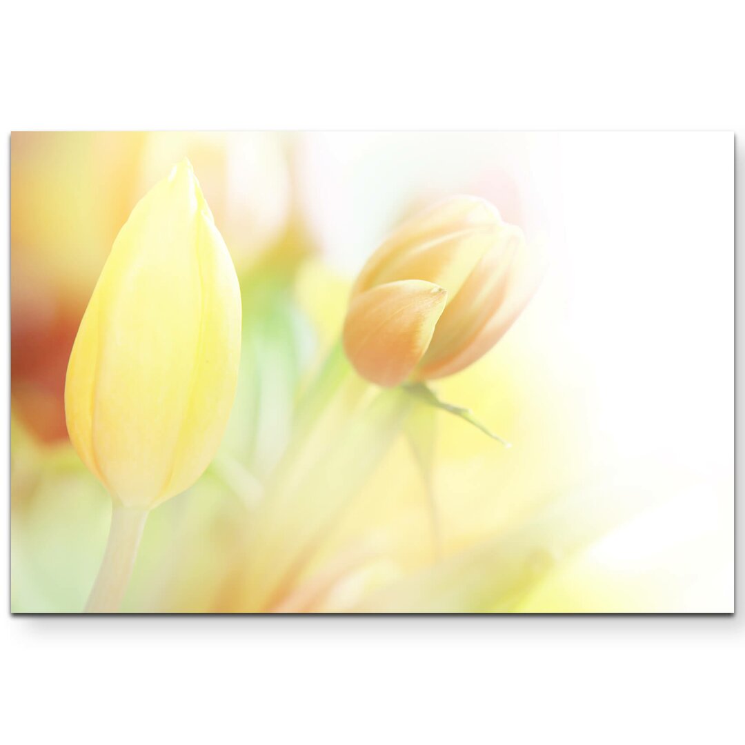 Leinwandbild Zarte gelbe Tulpen – Nahaufnahme