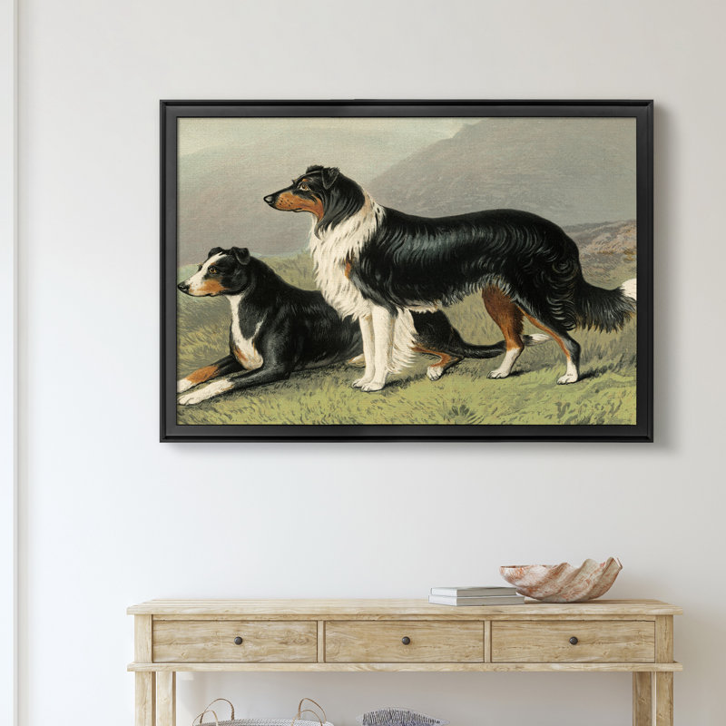 Sheep Dogs - Reproduction d'art sur toile encadrée, H 30,5 po x l 42,5 po x P 1,5 po, Noir