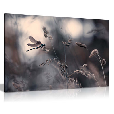 Dragonfly On A Flower Floral Garden - Wrapped Canvas Painting