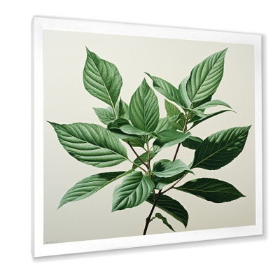 " Fresh Mint Minimalism Leaves Serenity II "