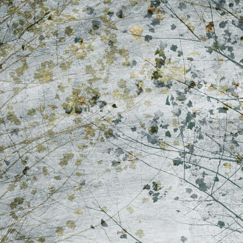 Seasonal Transition II by Sharon Chandler - Wrapped Canvas Painting, 76cm H x 76cm W