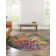 Corlenzo Abstract Orange/Pink/Blue/Yellow Area Rug