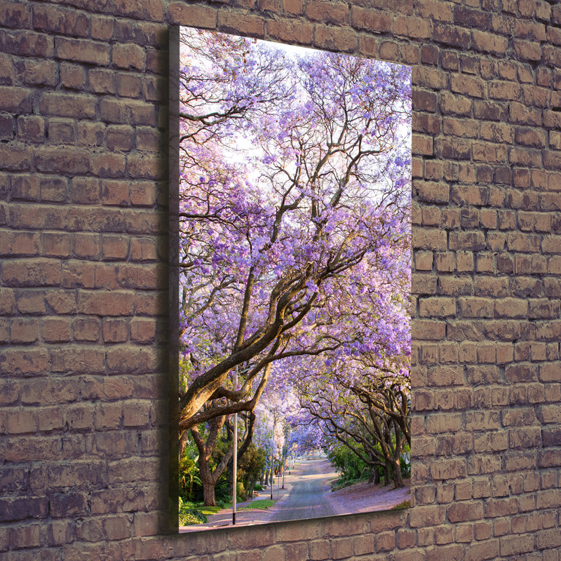 The Jakaranda Path - Wrapped Canvas Print