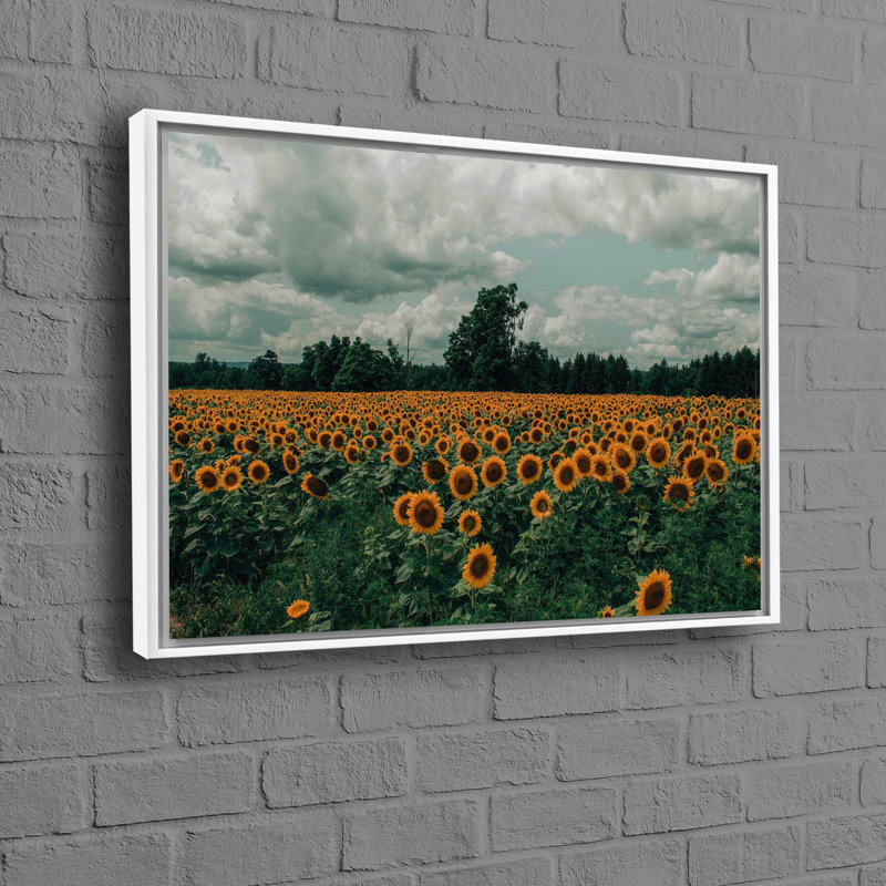 Print on Canvas, 20 cm H x 30 cm W, White Floater Framed