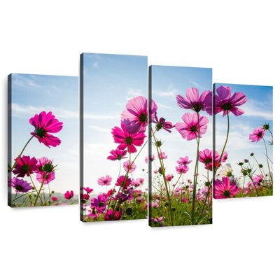 Wild Cosmos Flowers