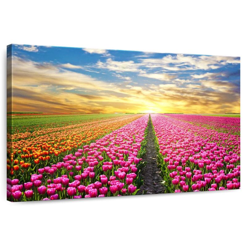 Tulipes des Pays-Bas Alvord, H 34 po x l 51 po