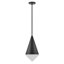 Luminaire suspendu simple à 1 lumière Gilroy-641378986