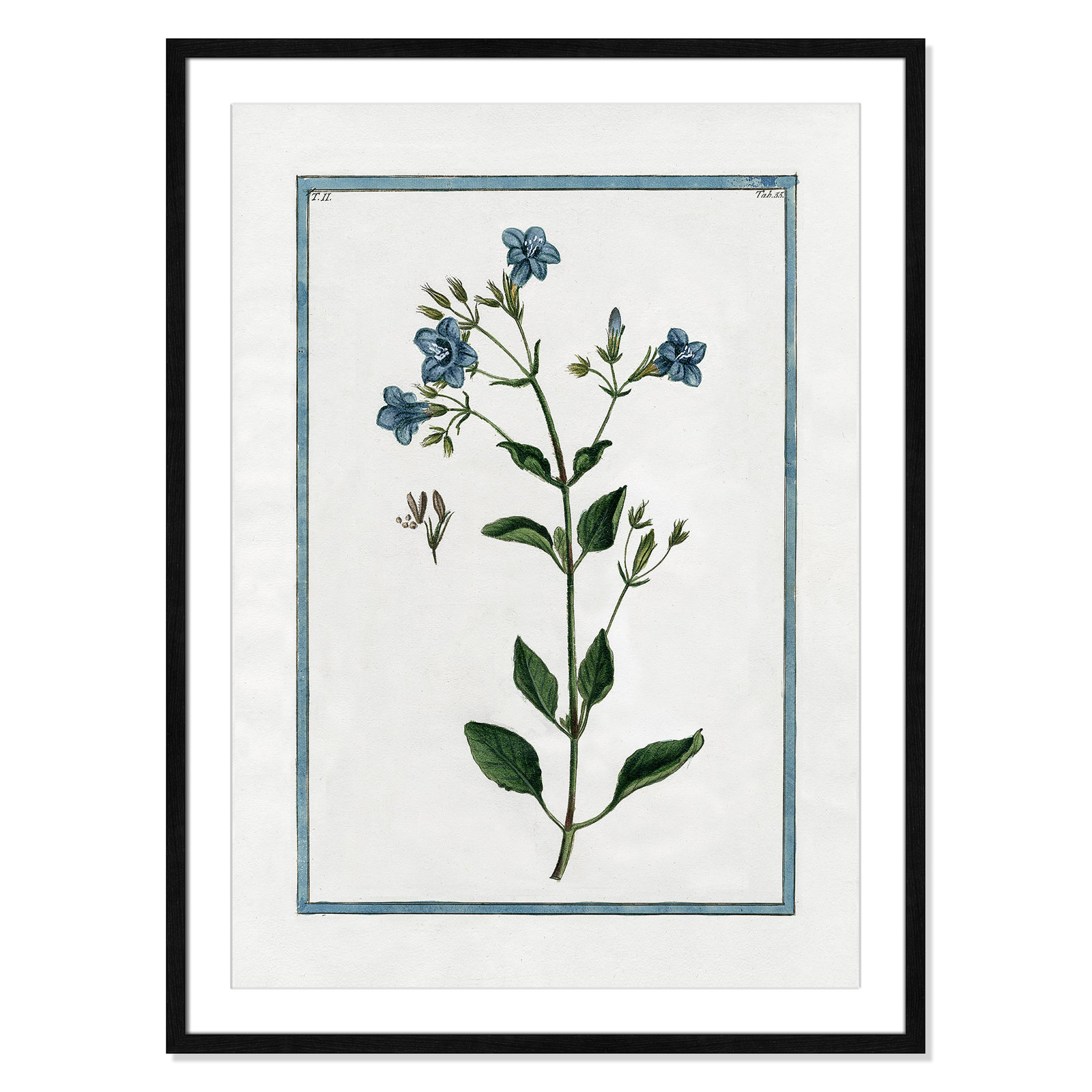 Colombe "Shabby Elegance Botanical II" Print, Black Framed, 25.5" W x 35.5" H