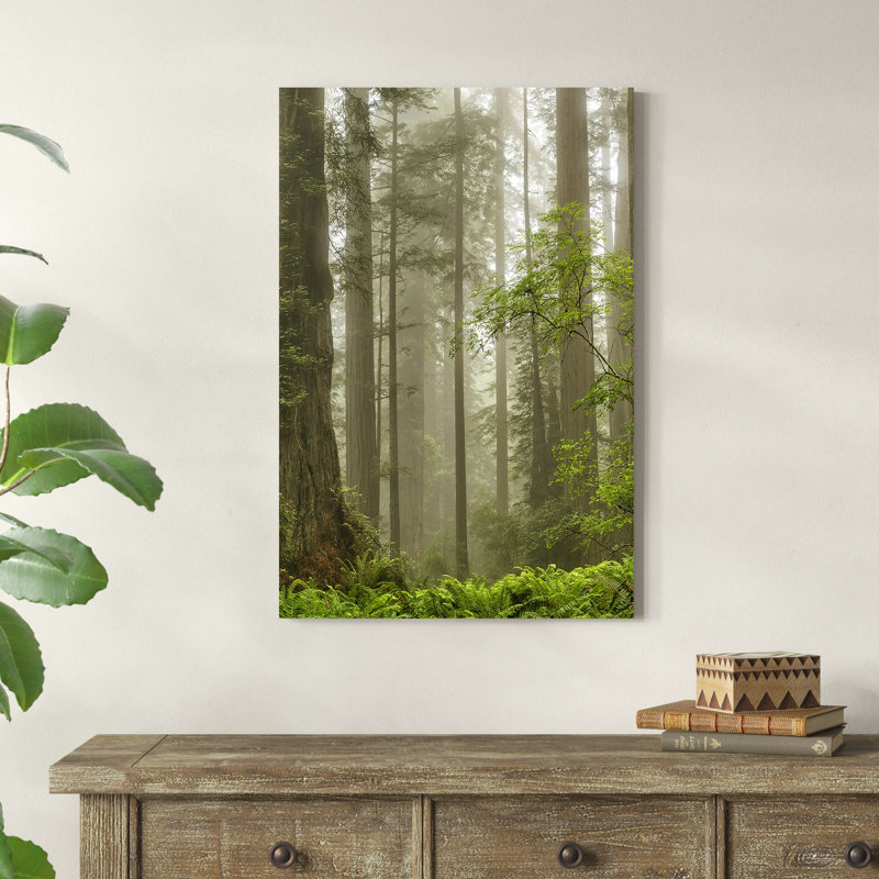 «Summer Forest II» par Dianne Poinski - Photographie sur toile tendue, H 36 po x l 24 po, Non, Reproduction avec cadre noyer