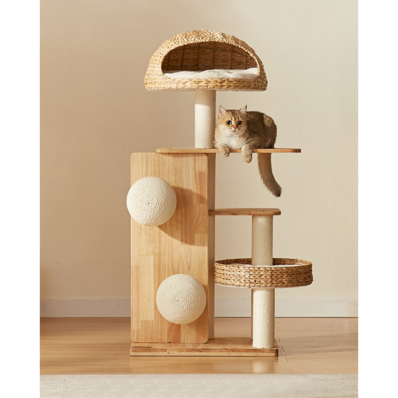 Structure d'escalade pour chat domestique