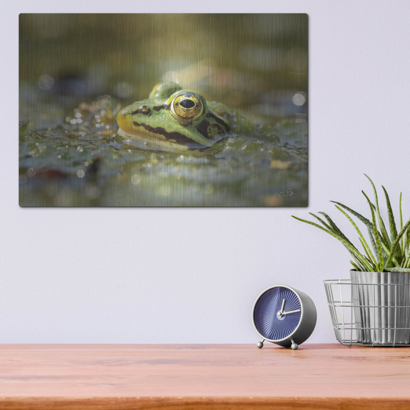 «Frog» par Martin Podt, H 12 po x l 16 po